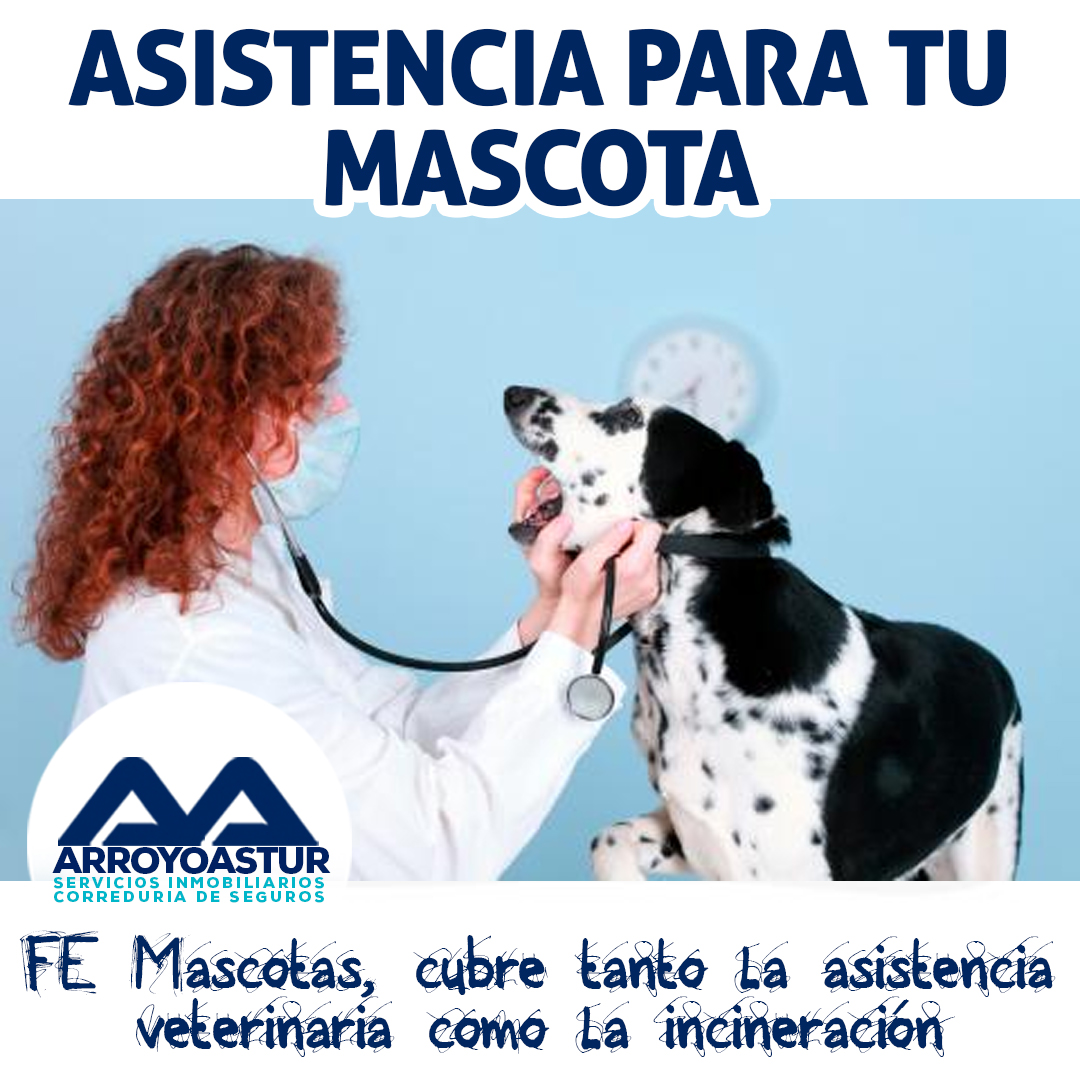 FE Seguros lanza un producto para mascotas
