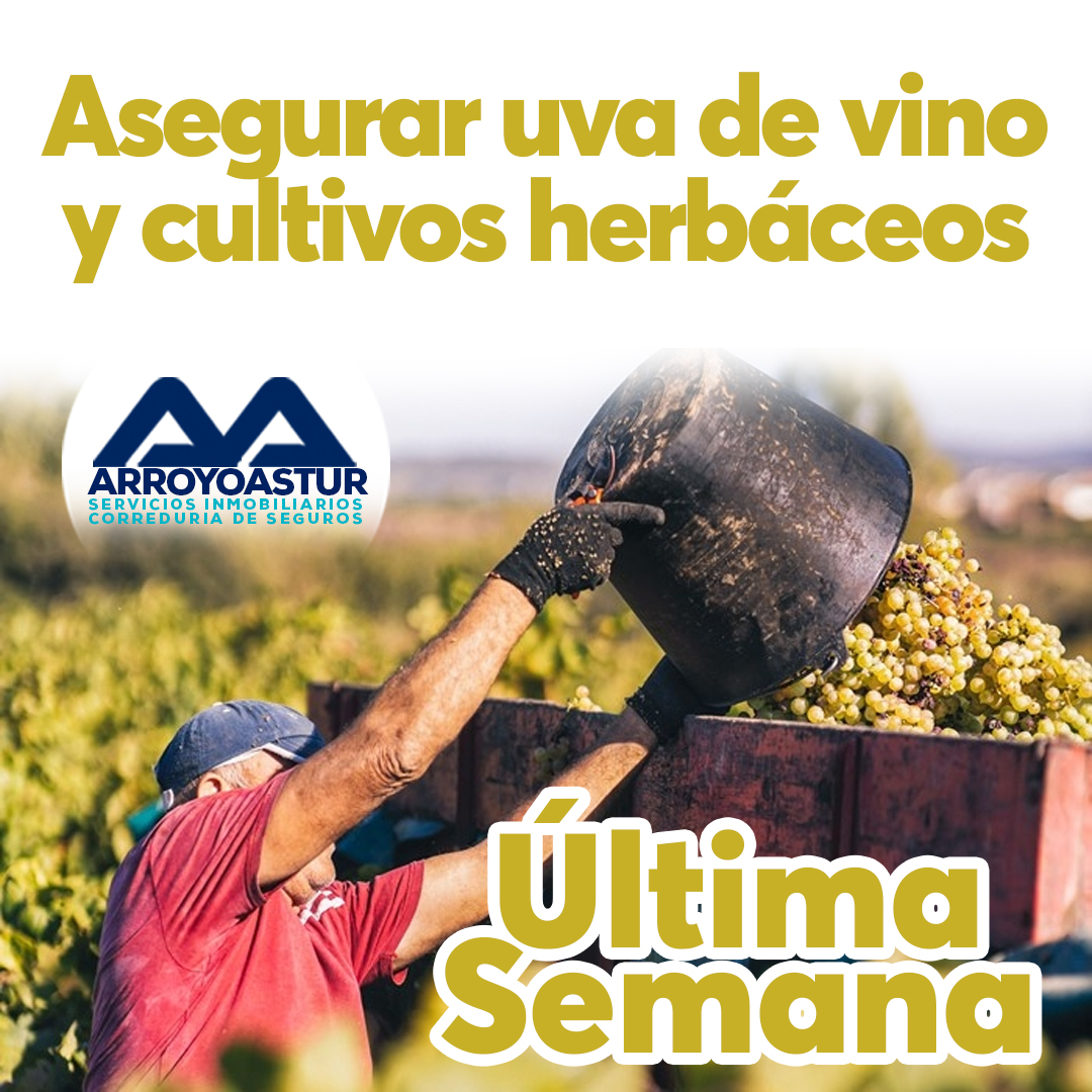 Última semana para asegurar uva de vino y herbáceos con las coberturas más amplias